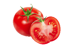 Tomatenscheiben